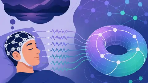 PHINN-EEG brings topology to dream-state EEG