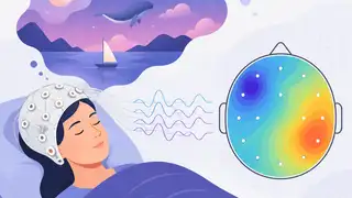 PHINN-EEG 用拓撲看夢境 EEG